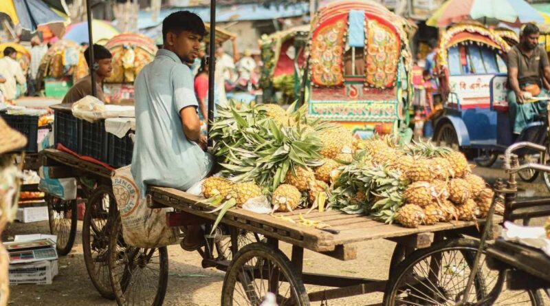 ग्रामीण भारत में रोजगार की कमी और शहरों की ओर पलायन की तस्वीर