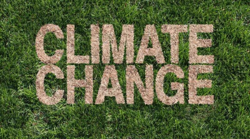 भारत में जलवायु परिवर्तन का प्रतीकात्मक दृश्य, जो पर्यावरण संकट और बदलते मौसम को दर्शाता है