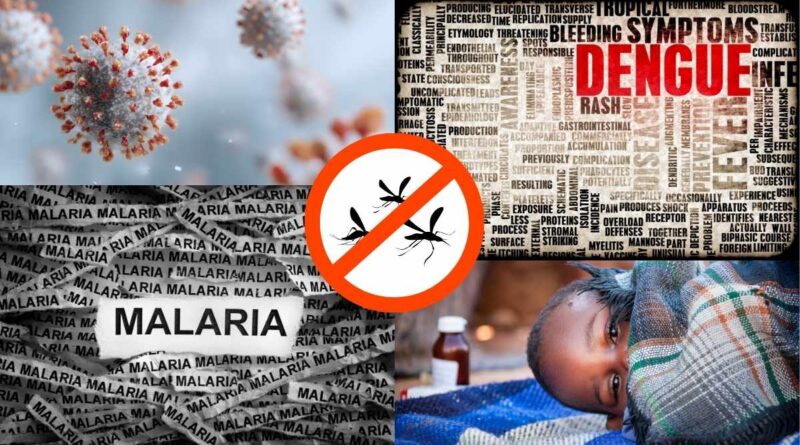 डेंगू और मलेरिया में अंतर, लक्षण, जांच और मच्छर से बचाव के उपाय