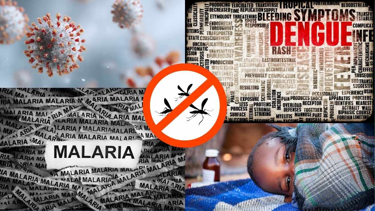 डेंगू और मलेरिया में क्या अंतर है?